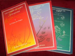Quelques ouvrages dédiés au tarot de Nicolas Conver